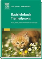 Malkusch, Frank Malkusch, Quinte, Dori Quinten, Doris Quinten - Basislehrbuch Tierheilpraxis