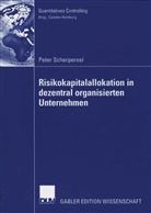Peter Scherpereel - Risikokapitalallokation in dezentral organisierten Unternehmen