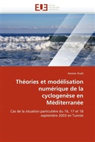 Ammar Ouali, Ouali-A - Theories et modelisation