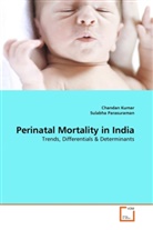 Chanda Kumar, Chandan Kumar, Sulabha Parasuraman - Perinatal Mortality in India