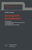 Stefan Hesse - Strategische Datenbanken