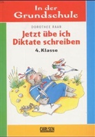 Dorothee Raab - Jetzt übe ich Diktate schreiben, 4. Klasse