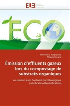Collectif, Philippe Morand, Hieronymu Yulipriyanto, Hieronymus Yulipriyanto - Emission d effluents gazeux lors