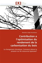 Montcho Crépin Hounlonon, Hounlonon-M - Contribution a l optimisation du