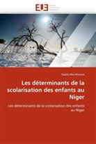 Gapto Mai Moussa, Moussa-G - Les determinants de la