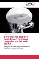 Luis Castañeda Aviña - Sensores de oxígeno basados en películas delgadas de óxido de titanio