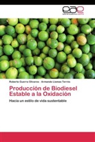 Robert Guerra Olivares, Roberto Guerra Olivares, Armando Llamas Terrés - Producción de Biodiesel Estable a la Oxidación