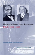 Hermann Hesse, Hans Purrmann, Angelika Fischer, Felix Billeter, Eva Zimmermann - Hermann Hesse - Hans Purrmann