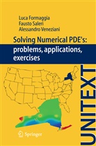 Luc Formaggia, Luca Formaggia, Faust Saleri, Fausto Saleri, Alessand Veneziani, Alessandro Veneziani - Solving Numerical PDEs: Problems, Applications, Exercises