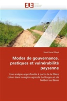 Kossi Pascal Gbayi, Gbayi-K - Modes de gouvernance, pratiques