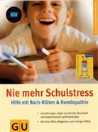 Sigrid Schmidt - Nie mehr Schulstress