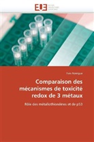Yves Nzengue, Nzengue-Y - Comparaison des mecanismes de