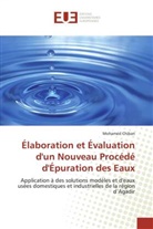 Mohamed Chiban, Chiban-M - Elaboration et evaluation d un