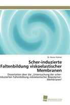 Dr Rainer Kahner, Dr. Rainer Kahner, Rainer Kahner - Scher-induzierte Faltenbildung viskoelastischer Membranen