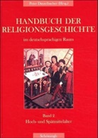 Peter Dinzelbacher, Daniel Mit einem Beitrag von Krochmalnik, Peter Dinzelbach, Peter Dinzelbacher, Daniel Krochmalnik - Handbuch der Religionsgeschichte im deutschsprachigen Raum, 6 Bde. - 2: Handbuch der Religionsgeschichte im deutschsprachigen Raum