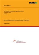 Johanna Föllmer - Normentheorie und transnationales Strafrecht