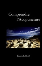 Franck Labat - Comprendre l'acupuncture