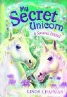 Linda Chapman - My Secret Unicorn: A Special Friend
