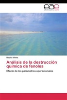 Natalia Villota - Análisis de la destrucción química de fenoles