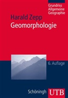 Harald Zepp - Geomorphologie