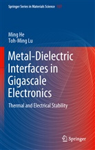 Min He, Ming He, Toh-Ming Lu - Metal-Dielectric Interfaces in Gigascale Electronics