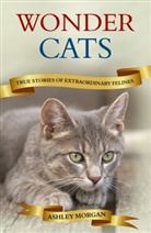 Ashley Morgan - Wonder cats true stories of extraordinary felines