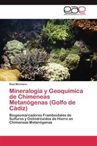Raul Merinero - Mineralogía y Geoquímica de Chimeneas Metanógenas (Golfo de Cádiz)