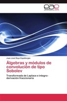 Juan José Royo Espallargas - Álgebras y módulos de convolución de tipo Sobolev