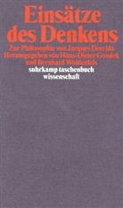 Einsätze des Denkens