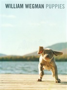 William Wegman - Puppies
