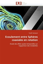 Toufik Tamsaout, Tamsaout-T - Ecoulement entre spheres