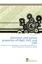 André Schleife - Electronic and optical properties of MgO, ZnO, and CdO
