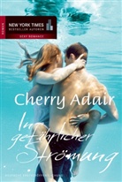 Cherry Adair - In gefährlicher Strömung