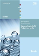HERRMAN, Petr Herrmann, Petra Herrmann, Reinmüller, Bernd Reinmüller, DI e V - Nanotechnologie für Farben und Lacke