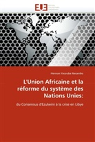 Herman Yacouba Nacambo, Nacambo-H - L union africaine et la reforme