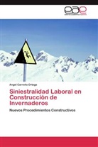 Angel Carreño Ortega - Siniestralidad Laboral en Construcción de Invernaderos