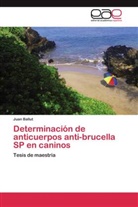 Juan Ballut - Determinación de anticuerpos anti-brucella SP en caninos