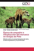 Arnoldo González Reyna, Gastón Alejandr González Reyna, Gastón Alejandro González Reyna, J Vázquez Armijo, José Fernando Vázquez Armijo - Época de empadre e introducción del morueco en Ovejas de Pelo