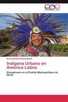 Alvaro Ricardo Gomez Murillo - Indígena Urbano en América Latina