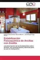 Parga Torres, José Refugio Parga Torres, Guillermo-Del-Carme Tiburcio-Munive, Guillermo-Del-Carmen Tiburcio-Munive - Estabilización Fisicoquímica de Arcillas con Zeolita