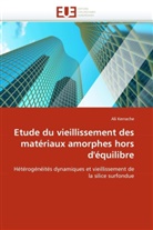 Ali Kerrache, Kerrache-A - Etude du vieillissement des