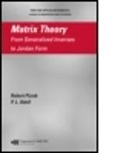 P. L. Odell, P.L. Odell, Robert Piziak, Robert (Baylor University Piziak, Robert Odell Piziak, Piziak Robert - Matrix Theory