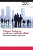 Carlos Eduardo Daly Gimón - Tribunal Andino de Justicia e Institucionalidad