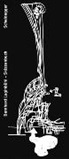 Bezzol, Bernhard Luginbühl, Leonardo Bezzola, Rea Bezzola, Bernhard Luginbühl - Skizzenbuch