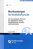 Bernhard Knittel - Beurkundungen im Kindschaftsrecht, m. CD-ROM