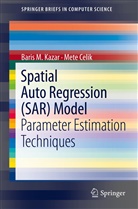 Mete Celik, Baris Kazar, Baris M Kazar, Baris M. Kazar - Spatial AutoRegression (SAR) Model