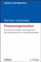 Michael Gaitanides, Michael (Dr.) Gaitanides - Prozessorganisation