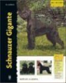Barbara J. Andrews - Schnauzer gigante
