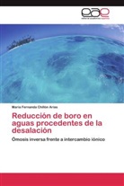 María Fernanda Chillón Arias - Reducción de boro en aguas procedentes de la desalación