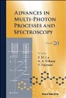 A A Villaeys &amp; Y Fujimura S H Lin, Y. Fujimura, Yuichi Fujimura, S. H. Lin, Sheng-Hsien Lin, A. A. Villaeys... - ADV MULTI-PHOTON PROCESS..(V20)